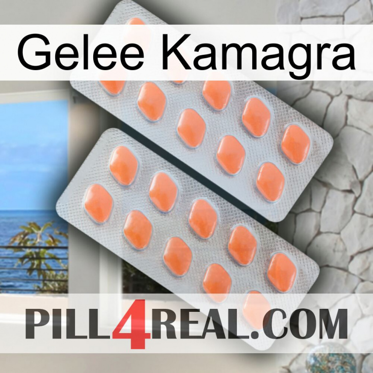 Jelly Kamagra 27